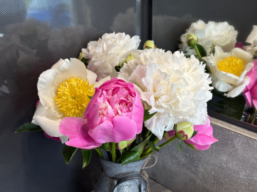 Very Smart Loo Hire for Party in Somerset