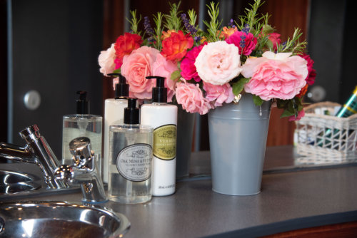 Toilet Hire For Birthday Party in Sherborne